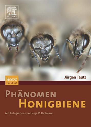 Phänomen Honigbiene von Spektrum Akademischer Verlag